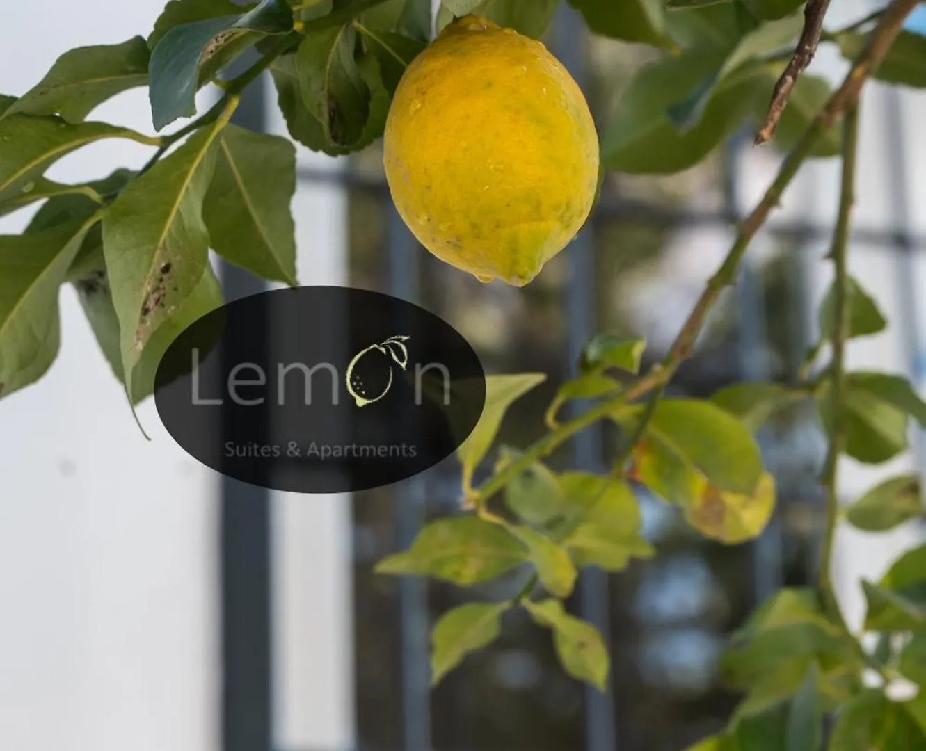 Lemon Suites Apartments Rome 0*,